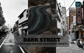 黑暗氛围街道风景情绪街拍摄影后期调色Lightroom预设