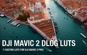 7个大疆DJI Mavic 2 专用调色LUT预设包 DJI Mavic 2 DLOG LUTS By Henbu