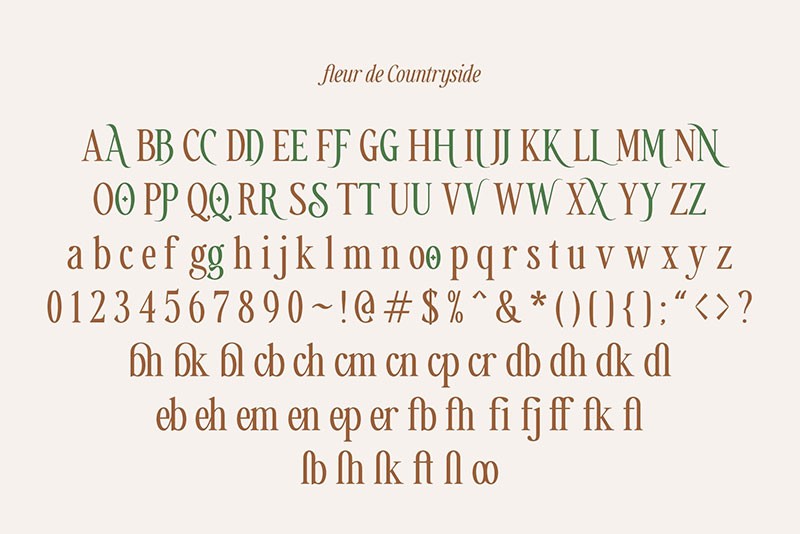 Countryside现代衬线英文字体完整版 设计素材 第17张