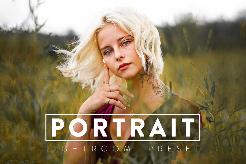 10款人物肖像摄影Lightroom 预设 插件预设 第1张