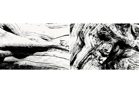 10款木头木根纹理JPG/PNG高清图片 图片素材 第4张