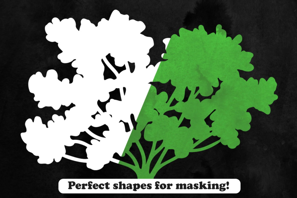 25款多种草绿色植物photoshop笔刷 笔刷资源 第4张