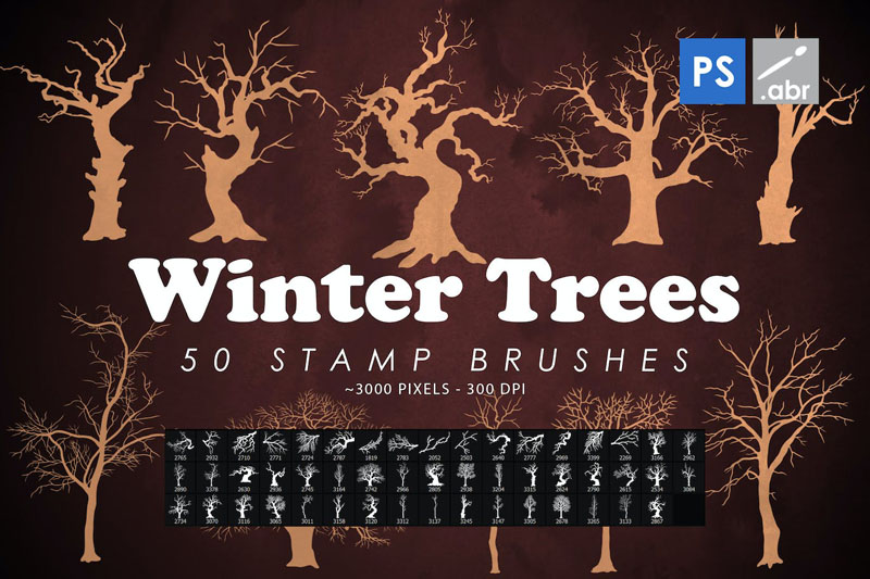 50款冬季树枝大树photoshop笔刷 笔刷资源 第1张