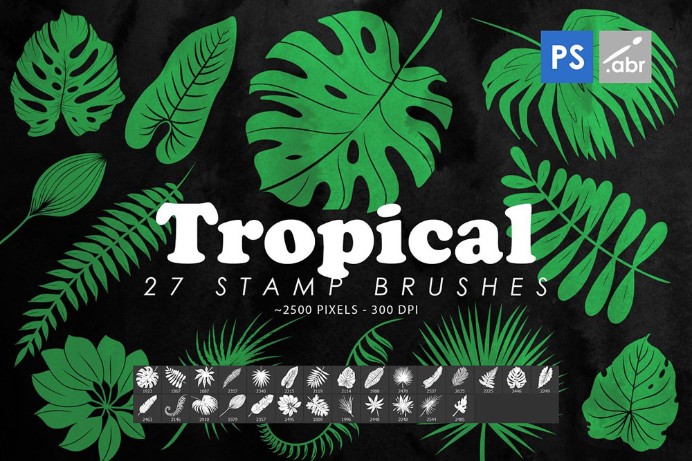 27款热带植物树叶Photoshop笔刷 笔刷资源 第1张