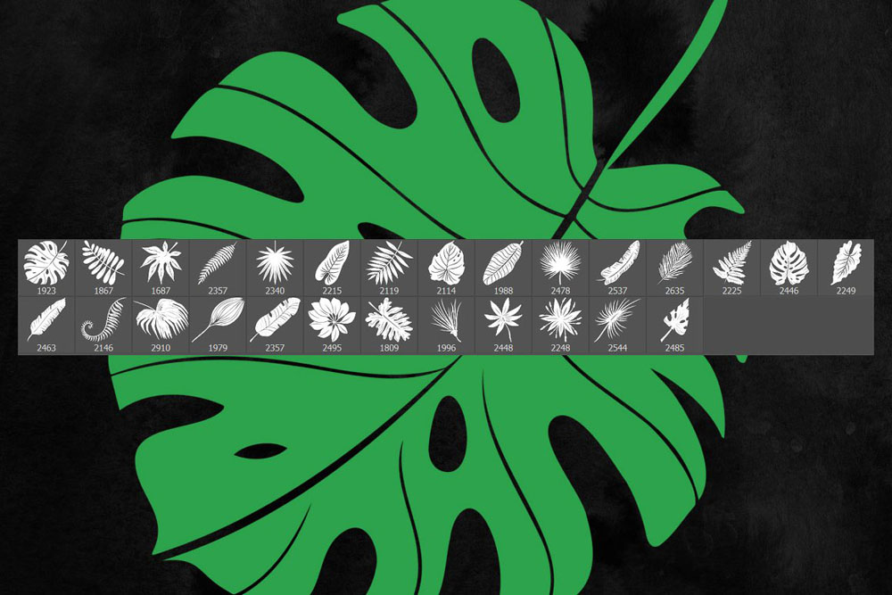 27款热带植物树叶Photoshop笔刷 笔刷资源 第2张
