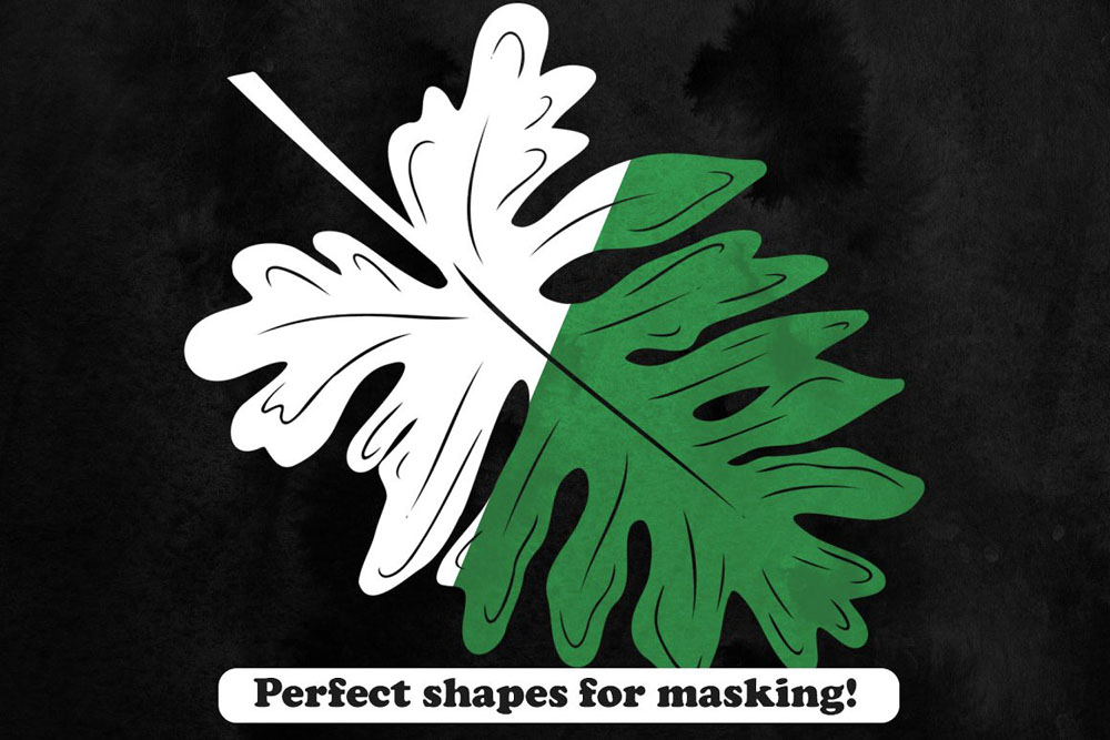 27款热带植物树叶Photoshop笔刷 笔刷资源 第4张