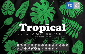 27款热带植物树叶Photoshop笔刷