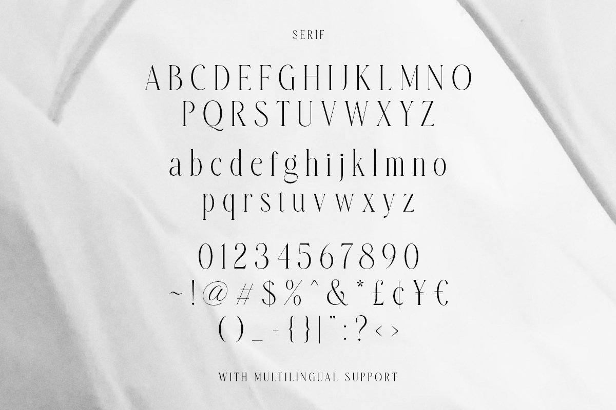 英文字体：复古优雅品牌时尚优雅杂志海报标题衬线连字英文字体安装包 Amelia Harper Font Duo . 第8张