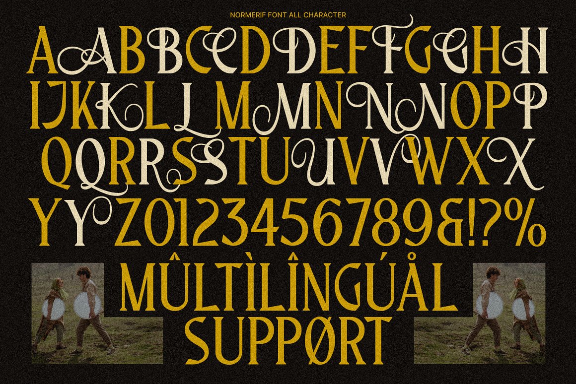 现代奢华优雅艺术花体杂志标题排版衬线字体 Normerif - Elegant Display Serif . 第9张