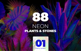 88种热带霓虹灯植物石头自然元素系列PNG素材 ARKS ACADEMY NEON_plants_&_stones_collection