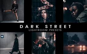 黑金深色风格夜间城市街道街拍酷炫Lightroom预设+DNG预设