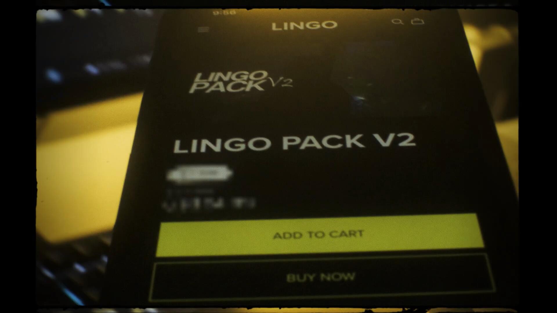 300个嘻哈说唱画面摇晃旋转定格运动AE预设效果包 LINGO PACK V2 插件预设 第2张