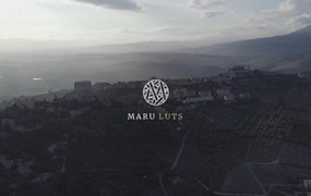 Maru Films LUTS 电影感纪实人像婚礼跟拍摄影LUT调色预设