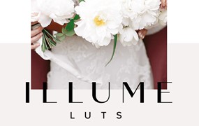 清新风格人像婚礼摄影胶卷颜色模拟分级LUT调色预设 Illume LUTs