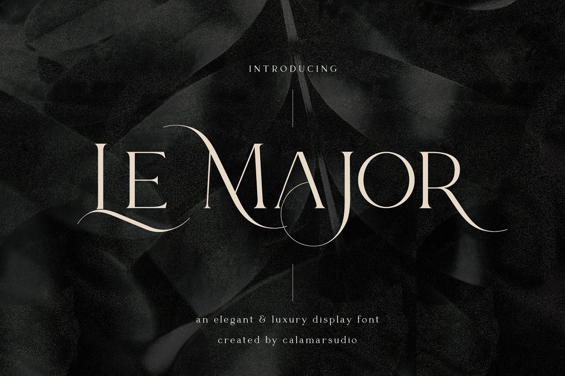 英文字体：时尚优雅奢华杂志婚礼海报标题衬线Logo英文艺术字体设计素材 Le Major Font 设计素材 第1张