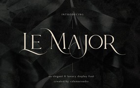 英文字体：时尚优雅奢华杂志婚礼海报标题衬线Logo英文艺术字体设计素材 Le Major Font