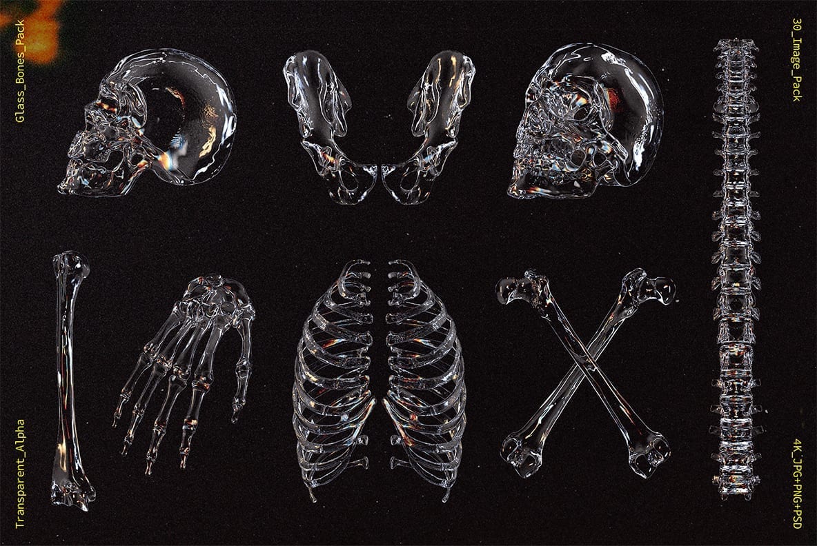 Glass Bones 新潮酸性透明玻璃材美学人体骨骼设计图片素材 图片素材 第2张