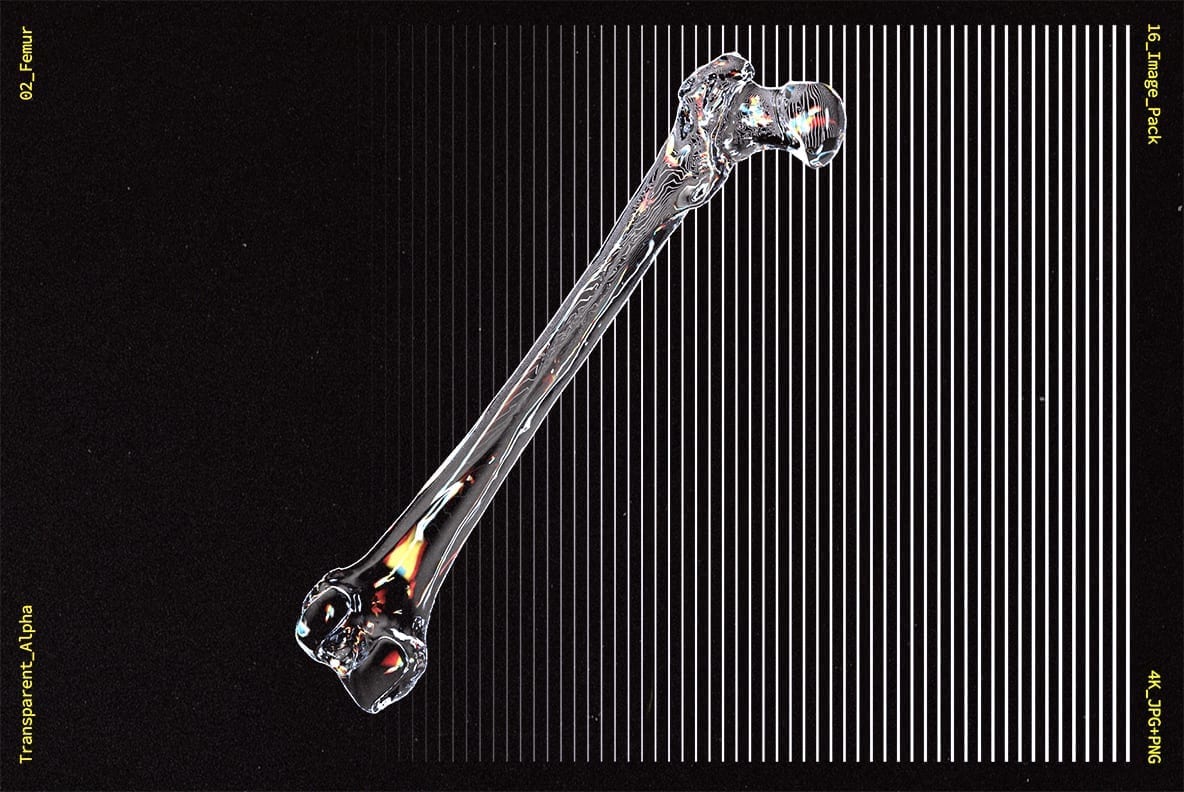Glass Bones 新潮酸性透明玻璃材美学人体骨骼设计图片素材 图片素材 第6张