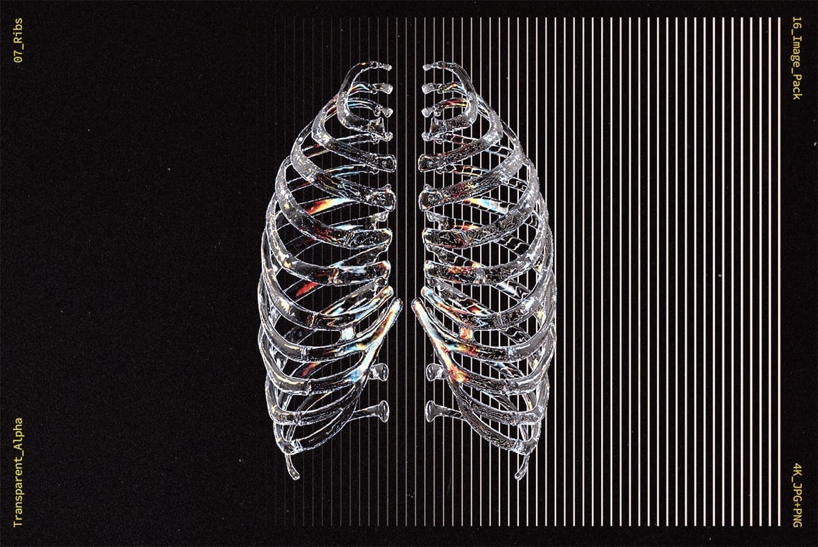Glass Bones 新潮酸性透明玻璃材美学人体骨骼设计图片素材 图片素材 第8张