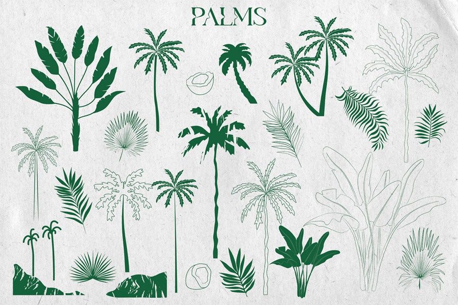热带植物海报艺术氛围、女性气质、海洋生物、水果拼贴、纺织包装海报印刷矢量精品图形元素Tropical Retrospective Poster 图片素材 第11张