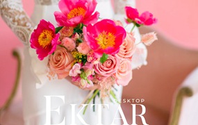 REFINED – Ektar 明亮精致人像婚礼摄影后期调色滤镜细腻鲜艳自然阳光色彩Lightroom预设