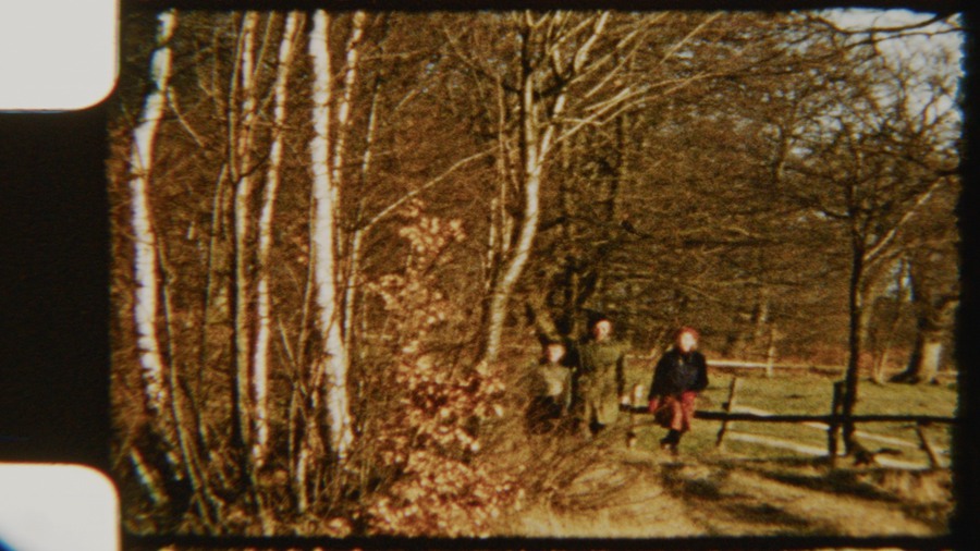 Artlist 22个复古8mm胶片实拍空镜视频素材、秋天的花园、鲜花、玫瑰、树木叶子、胶片损坏 Garden at Fall 8mm 影视音频 第1张
