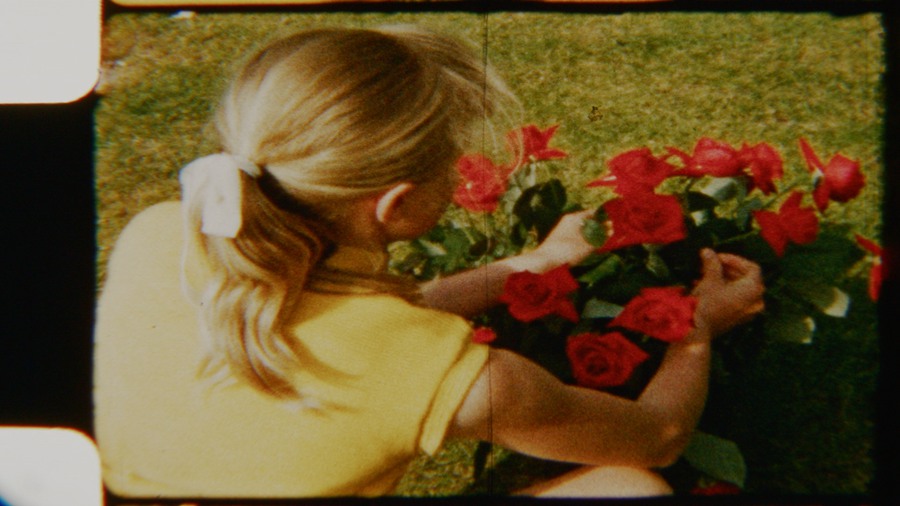 Artlist 6个复古8mm胶片实拍空镜视频素材、鲜花、复古时尚、时尚博主空镜素材、迷人红玫瑰、胶片损坏 Red Roses Vintage 影视音频 第1张