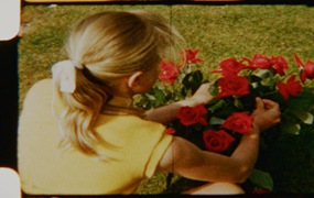 Artlist 6个复古8mm胶片实拍空镜视频素材、鲜花、复古时尚、时尚博主空镜素材、迷人红玫瑰、胶片损坏 Red Roses Vintage