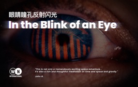 Artlist 21个眼睛瞳孔反射闪光实拍镜头纪录片科技转场过渡剪辑素材 In the Blink of an Eye