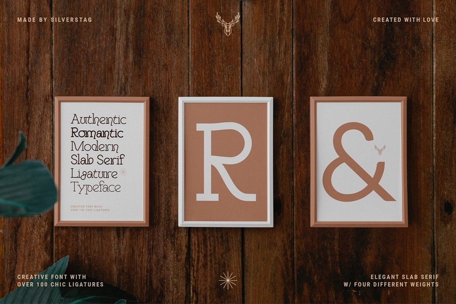 Authentic Romantic – Slab Serif Font 时尚品牌四种粗细无衬线字体 设计素材 第15张