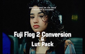 Fuji Film X-H2S 富士转REC709和复古电影感LUT – Flog 2 Conversion & Lut Pack