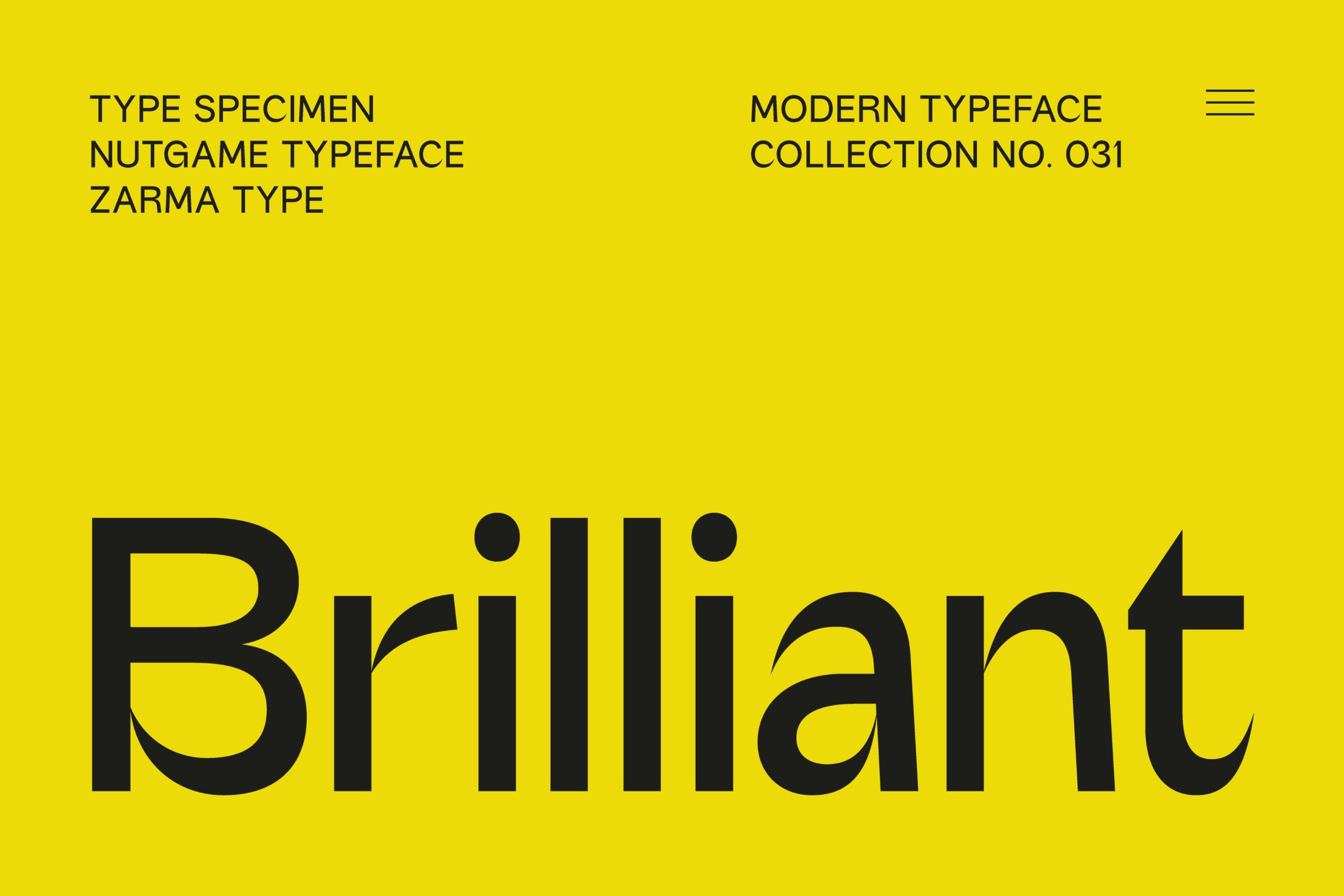 现代魅力70年代复古风格怀旧氛围品牌标题无衬线字体 Nutgame – Sans Serif Font 设计素材 第10张
