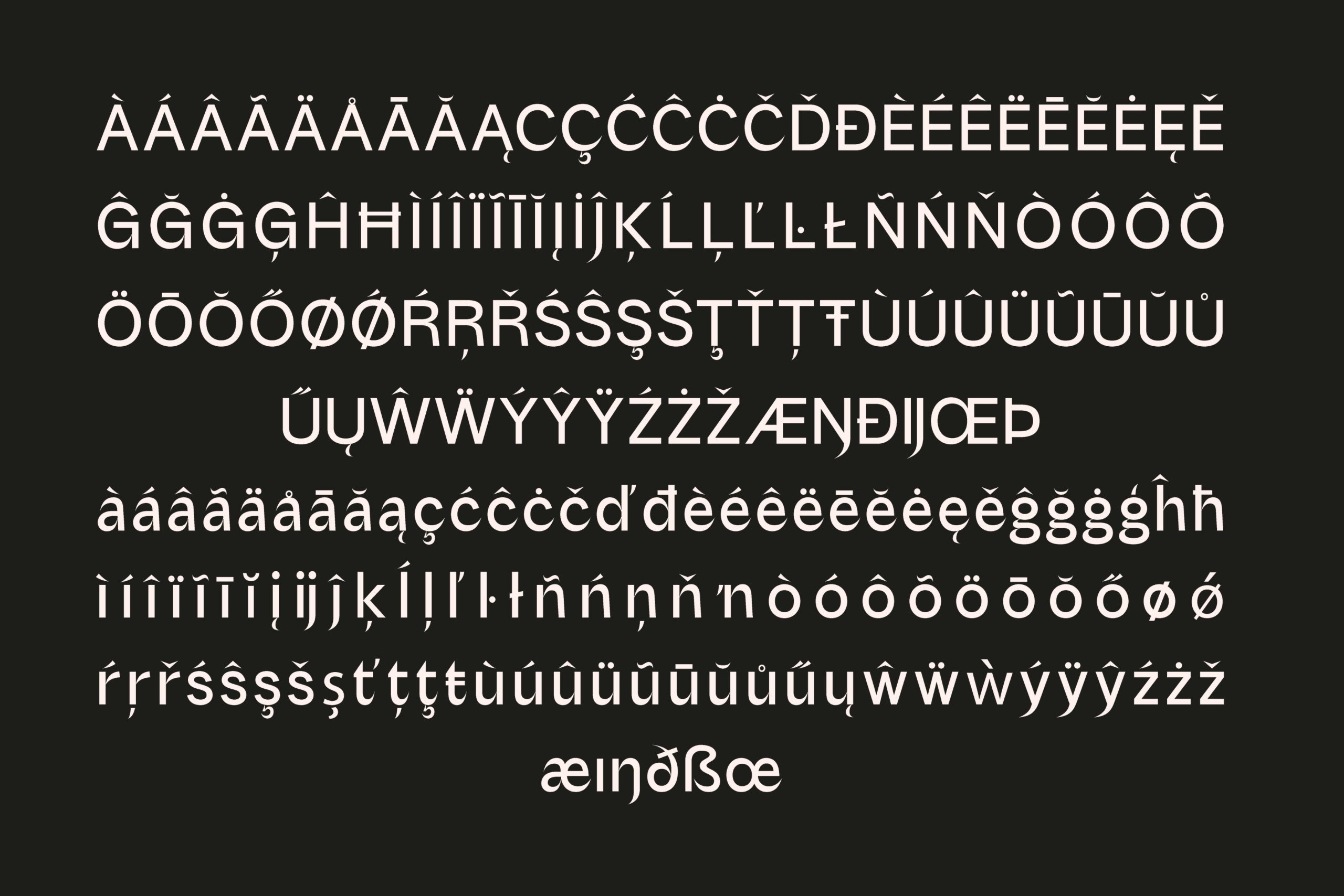 现代魅力70年代复古风格怀旧氛围品牌标题无衬线字体 Nutgame – Sans Serif Font 设计素材 第9张
