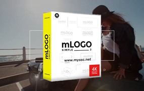 FCPX插件：MotionVFX 30个现成简约LOGO动画 mLogo Simple 2