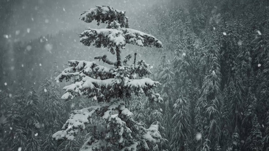 BusyBoxx V23 Snow Storm 100个超慢动作4K雪花飘落动画圣诞节氛围暴风雪冬季下雪场景雪花电影特效元素 , 第3张