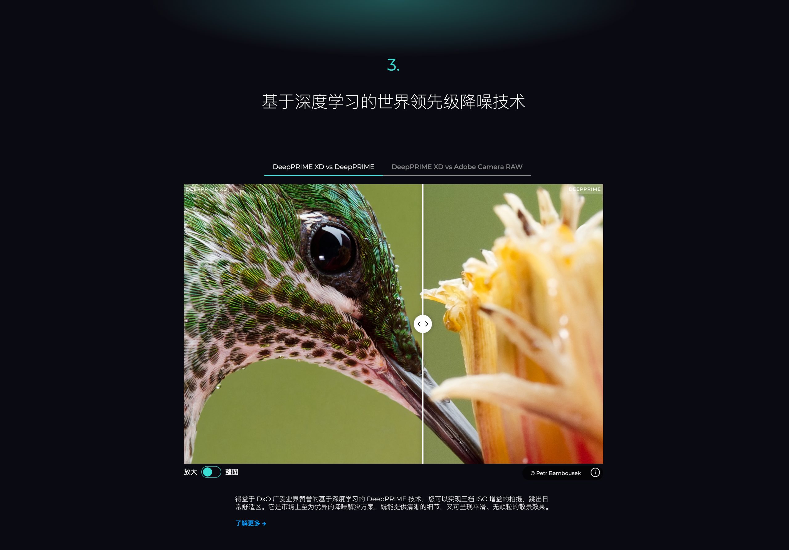 DxO PureRaw for Mac v3.8.0.30 中文版 RAW镜头锐度清晰降噪软件/插件 插件预设 第8张
