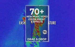 AKV Studios 迷幻复古嘻哈说唱潮流音乐MV视频X射线热像仪调色LUT + PR预设 Music Video Color Pack