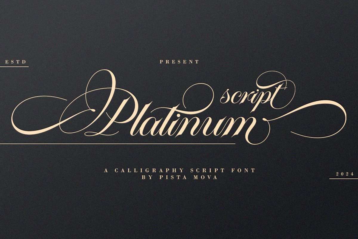 Platinum script 一种优雅柔和经典字体书籍封面、贺卡、徽标、品牌装饰字体 设计素材 第2张