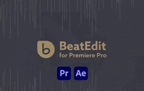 PR/AE插件：BeatEdit 音乐节奏鼓点标记插件 Aescripts BeatEdit PR/AE v2.1.003/v2.1.009 中文汉化（Win&Mac）