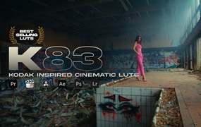 20个高级经典好莱坞电影美学柯达2383胶片LUT – K83 | Kodak 2383 Inspired Cinematic LUTs