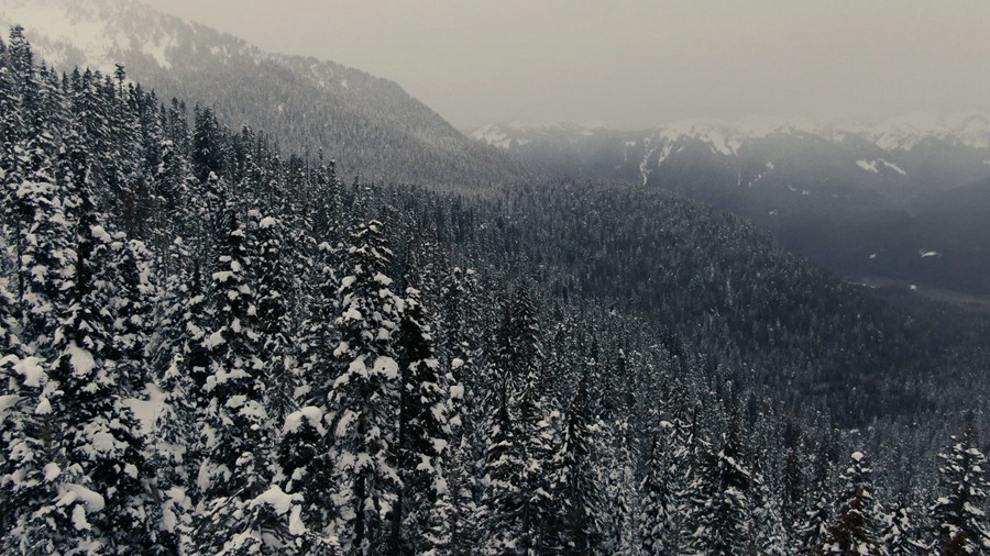 Artlist 22个高质量冬季高山雪景旅拍纪录片航拍空镜视频素材 影视音频 第3张