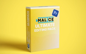 6GB影视剪辑素材套装包 – 音乐/音效/转场过渡/视频特效/摇晃发光闪烁/PR模板/PR预设 Malice ULTIMATE Editing Pack