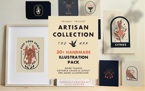 Artisan Collection – Illustration 30个平面手绘图形元素全彩色标签和贴纸设计插图（AI/PNG/JPG）