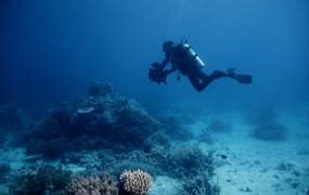 Artlist 29个高质量潜水员海洋深潜镜头 澳大利亚海洋生物 海龟 珊瑚 礁石 小丑鱼 纪录片广告混剪素材 RED KOMODO实拍电影镜头