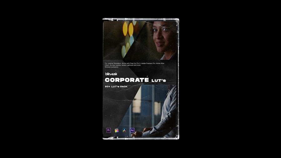 Blindusk CORPORATE LUTs 50个企业公司广告片电影外观 LUTS , 第2张