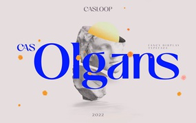 蒸汽波风格优雅文艺复兴雕塑海报封面半衬线英文字体 Cas Olgans