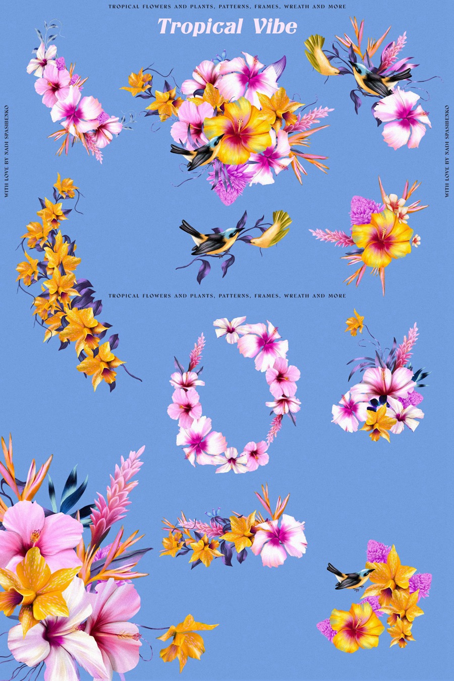 热带风情花卉PNG天堂鸟木槿和花朵芙蓉兰花霓虹兰鹤望兰海报设计服装丝绸纺织壁纸包装印刷PNG图形 , 第8张