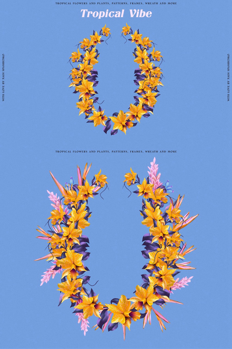 热带风情花卉PNG天堂鸟木槿和花朵芙蓉兰花霓虹兰鹤望兰海报设计服装丝绸纺织壁纸包装印刷PNG图形 , 第10张