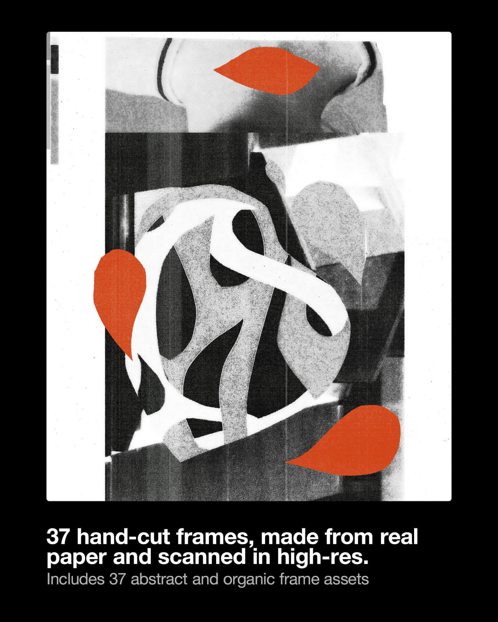 Blkmarket 一套独特优质有机艺术抽象框架海报设计图形&高分辨率真实纸张纹理感背景图 Organic Frames – Hand Cut Frame PNGs , 第3张