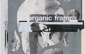 Blkmarket 一套独特优质有机艺术抽象框架海报设计图形&高分辨率真实纸张纹理感背景图 Organic Frames – Hand Cut Frame PNGs